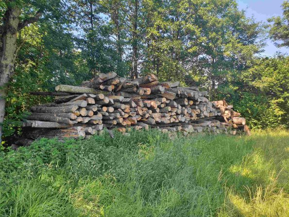 PA_AT_KOB_spatialcommentphoto_20220612153013027