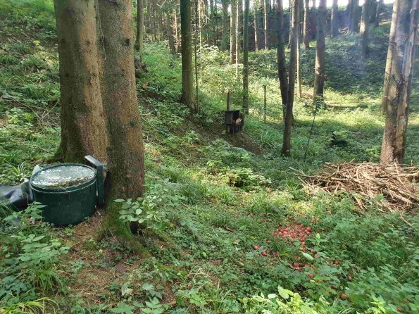 PA_AT_KOB_spatialcommentphoto_20220907141015317