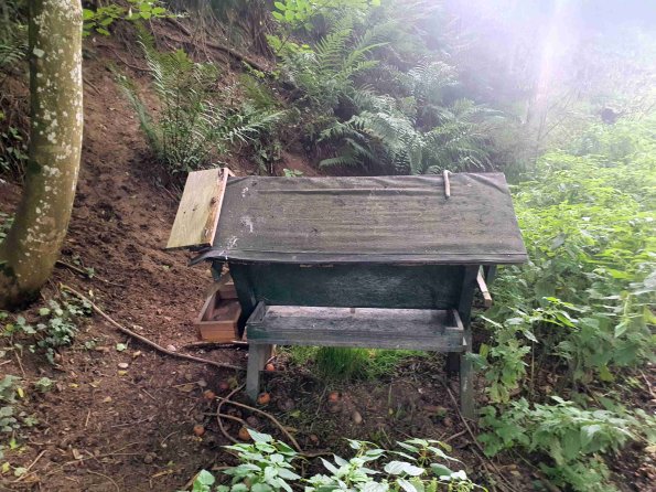 PA_AT_KOB_spatialcommentphoto_20220907171937155