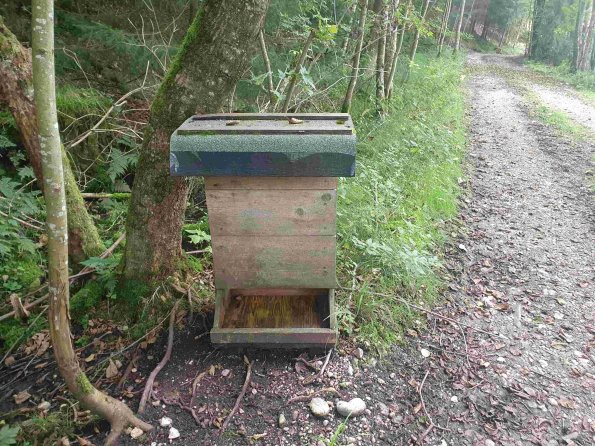 PA_AT_KOB_spatialcommentphoto_20220907172122690