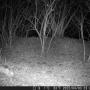 CameraTrap
