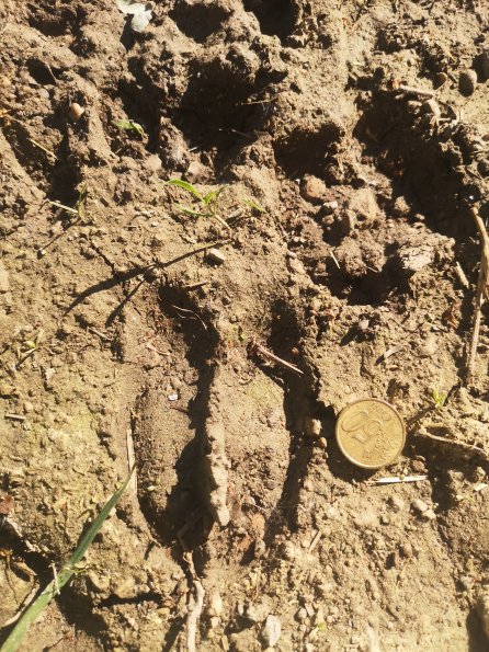 AT_POET_abovefootprintphoto_20220519084408973