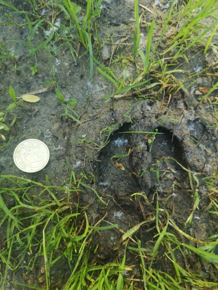 AT_POET_abovefootprintphoto_20220519084553105