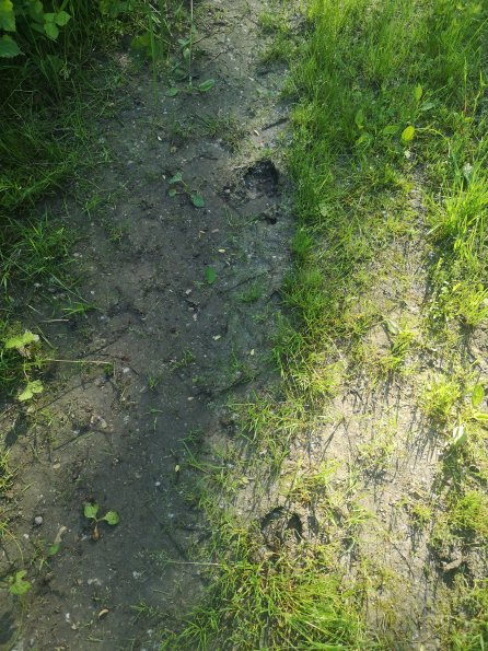 AT_POET_abovefootprintphoto_20220519084616856