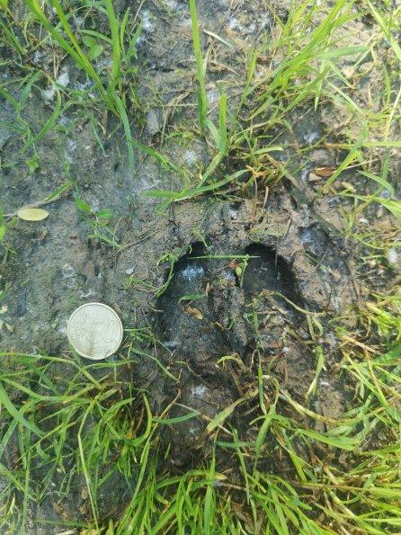 AT_POET_abovefootprintphoto_20220519084634723