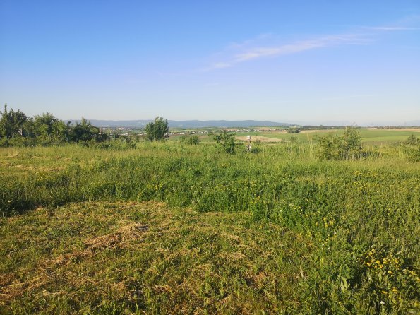 AT_POET_onoverpassphoto_20220519070133034