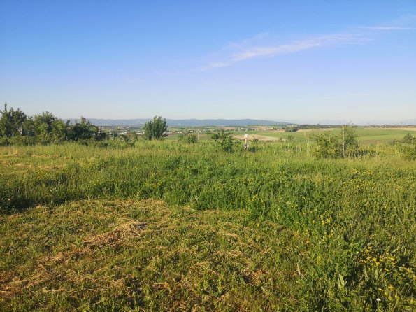 AT_POET_onoverpassphoto_20220519070133034