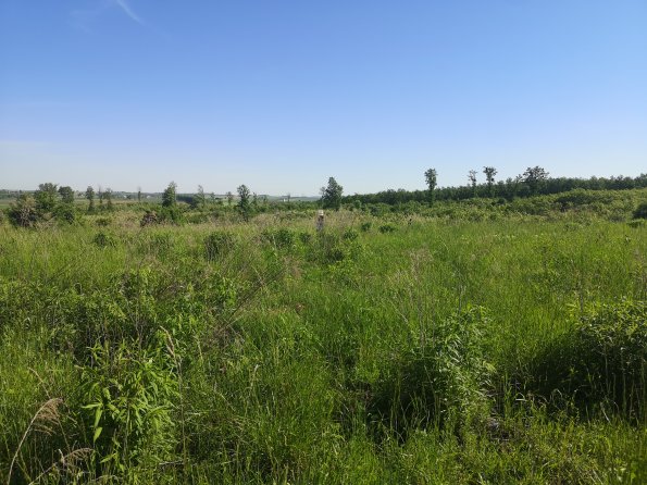 AT_POET_onoverpassphoto_20220519091304695