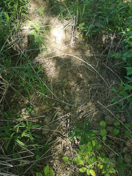 AT_POET_otheractivitysignphoto_20220519085840380