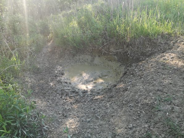 AT_POET_otheractivitysignphoto_20220519090201926