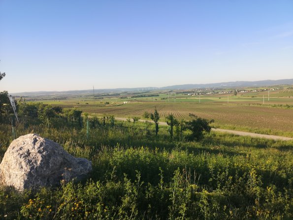 AT_POET_photofromsurroundingoverpass_20220519070005019