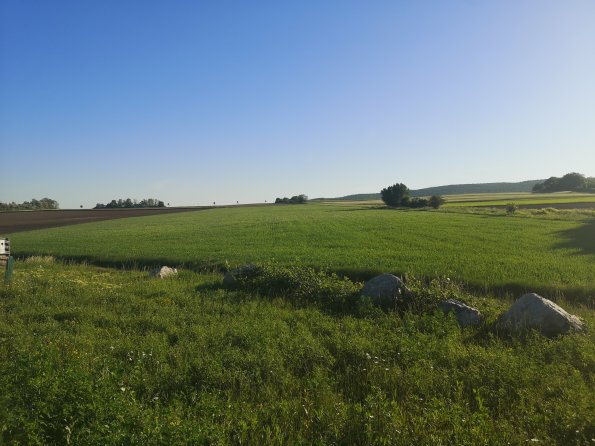 AT_POET_photofromsurroundingoverpass_20220519070412759