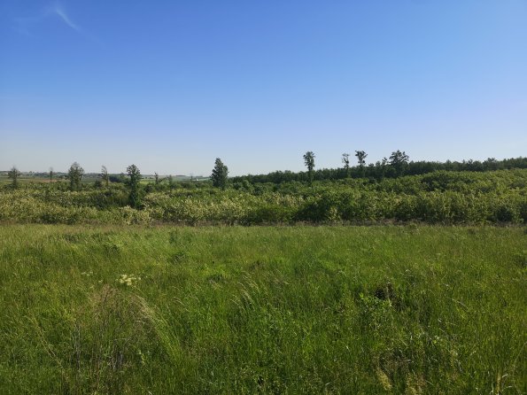 AT_POET_photofromsurroundingoverpass_20220519091344750