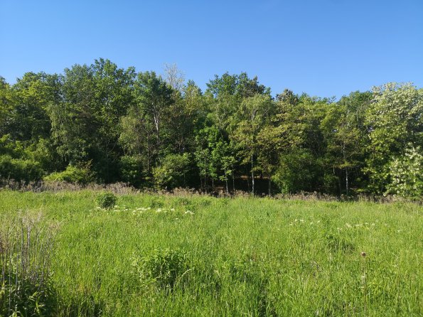 AT_POET_photofromsurroundingoverpass_20220519091359188