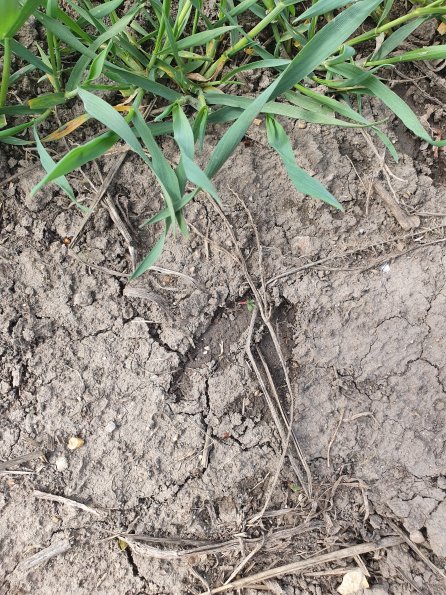 PA_AT_POET_abovefootprintphoto_20220406115817111