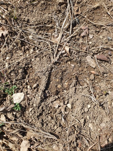 PA_AT_POET_abovefootprintphoto_20220406125805544