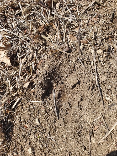 PA_AT_POET_abovefootprintphoto_20220406125858263