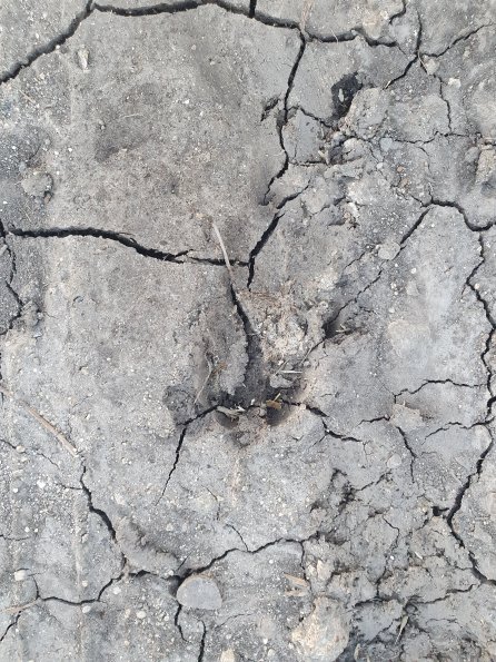 PA_AT_POET_abovefootprintphoto_20220728201052790