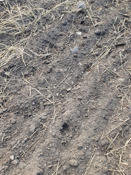 PA_AT_POET_abovefootprintphoto_20220729083030884