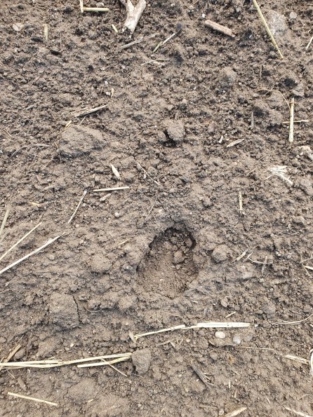 PA_AT_POET_abovefootprintphoto_20220729083119779