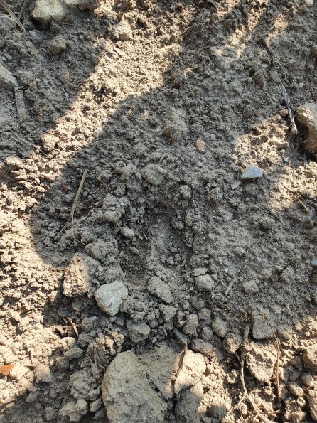 PA_AT_POET_abovefootprintphoto_20220729085956432