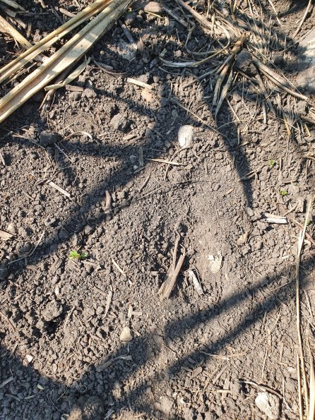 PA_AT_POET_abovefootprintphoto_20220729092935337