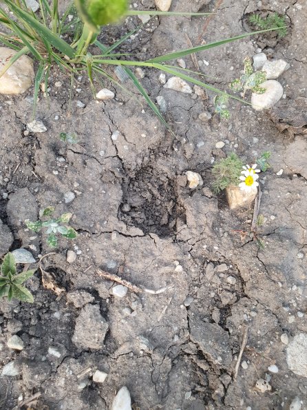 PA_AT_POET_abovefootprintphoto_20220729194040734