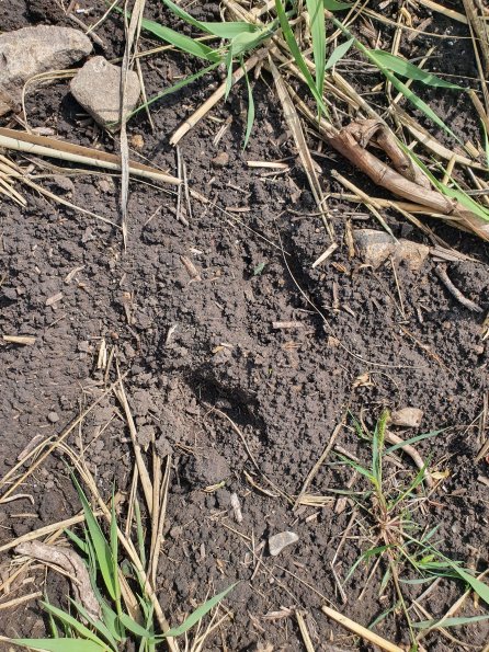 PA_AT_POET_abovefootprintphoto_20220824105138200