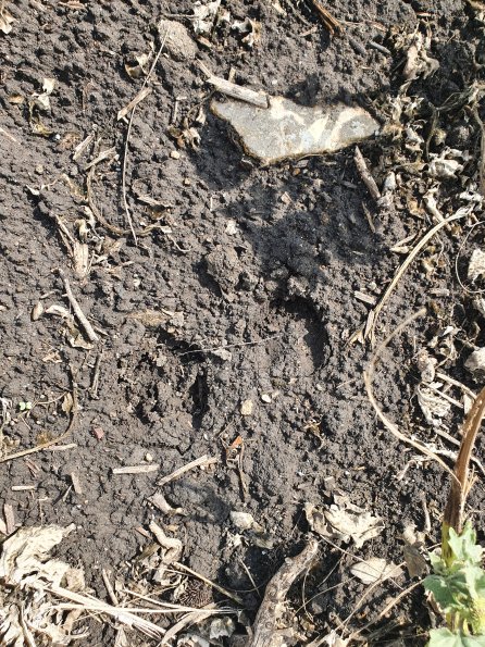 PA_AT_POET_abovefootprintphoto_20220824105240713