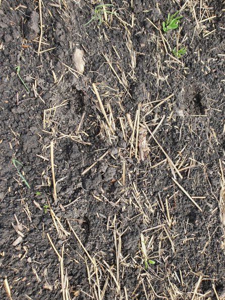 PA_AT_POET_abovefootprintphoto_20220824110318132