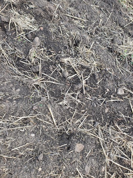 PA_AT_POET_abovefootprintphoto_20220824115256499