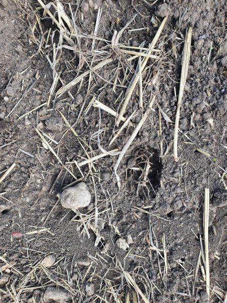 PA_AT_POET_abovefootprintphoto_20220824115407662