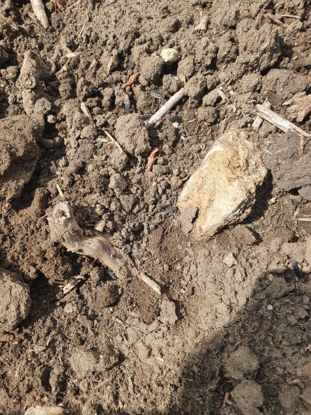 PA_AT_POET_abovefootprintphoto_20220824120631652