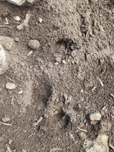 PA_AT_POET_abovefootprintphoto_20220824120843276