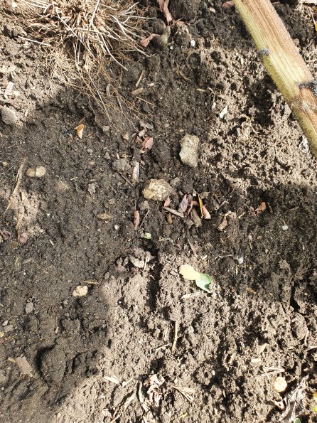 PA_AT_POET_abovefootprintphoto_20220824121154220