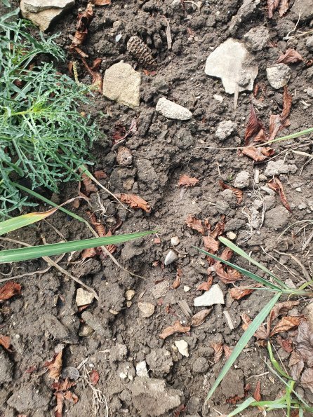 PA_AT_POET_abovefootprintphoto_20220824122001605