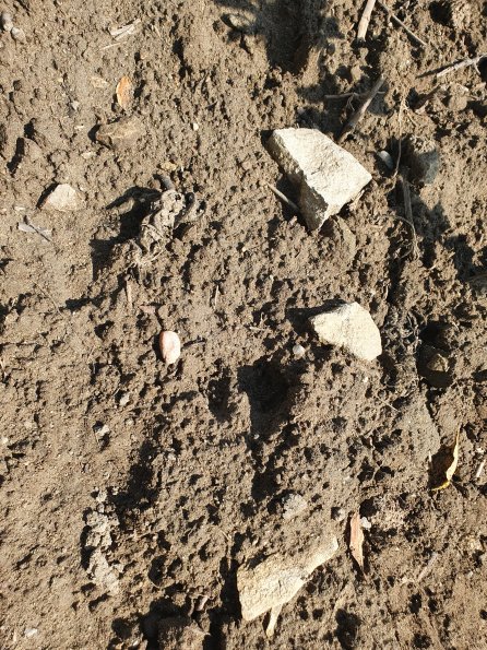 PA_AT_POET_abovefootprintphoto_20220824122529354