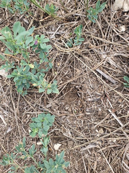 PA_AT_POET_abovefootprintphoto_20220824125942808