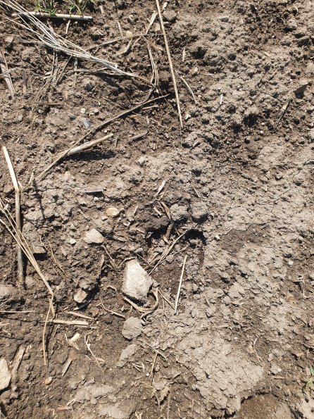 PA_AT_POET_abovefootprintphoto_20220824131245801