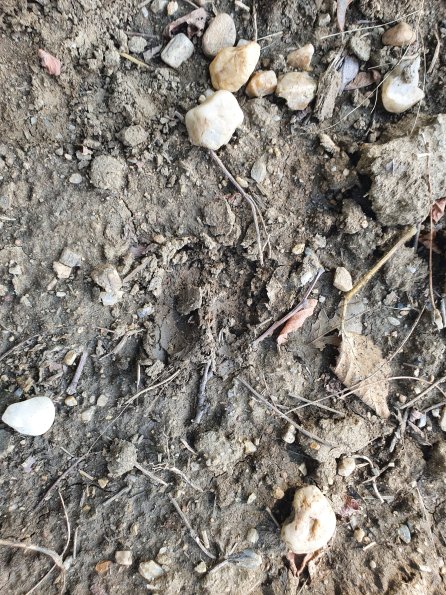 PA_AT_POET_abovefootprintphoto_20220824150530826