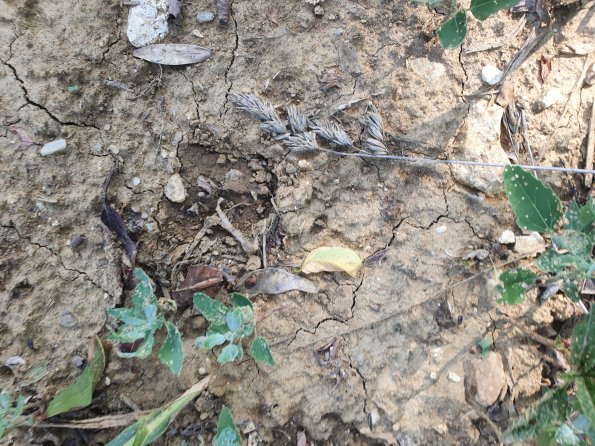 PA_AT_POET_abovefootprintphoto_20220824151406059