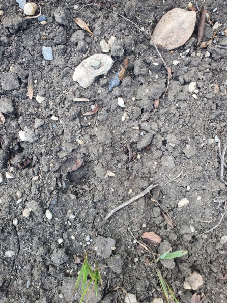 PA_AT_POET_abovefootprintphoto_20220824152353943