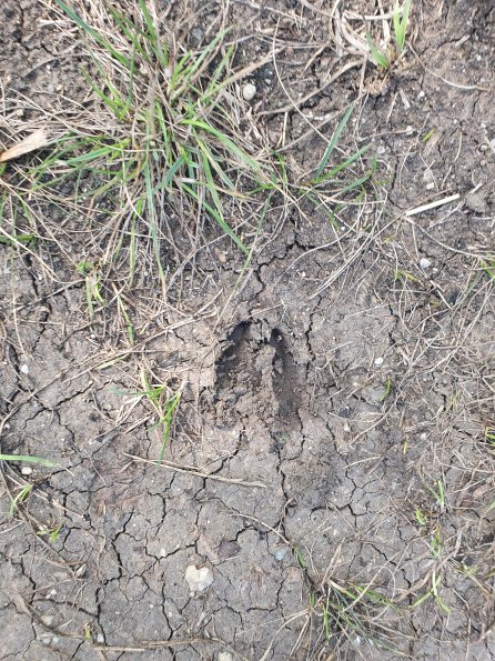 PA_AT_POET_abovefootprintphoto_20220824154255333