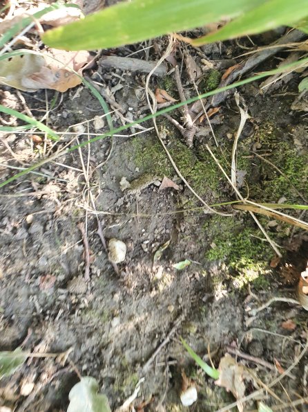 PA_AT_POET_abovefootprintphoto_20220824155944133