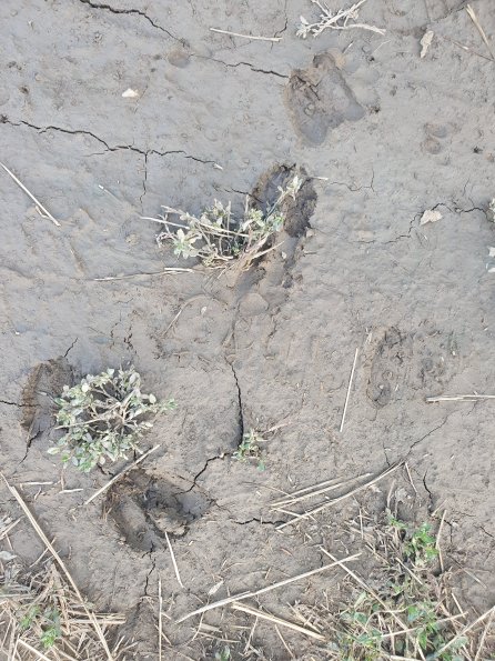 PA_AT_POET_abovefootprintphoto_20220824162942408