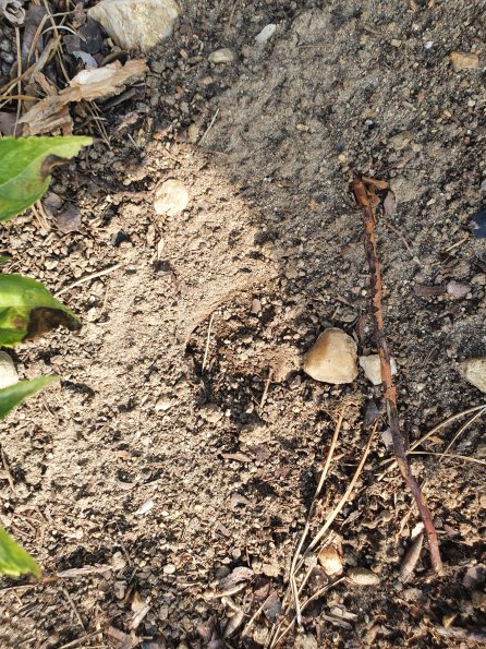 PA_AT_POET_abovefootprintphoto_20220824164400089