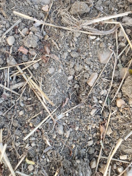 PA_AT_POET_abovefootprintphoto_20220824172139746