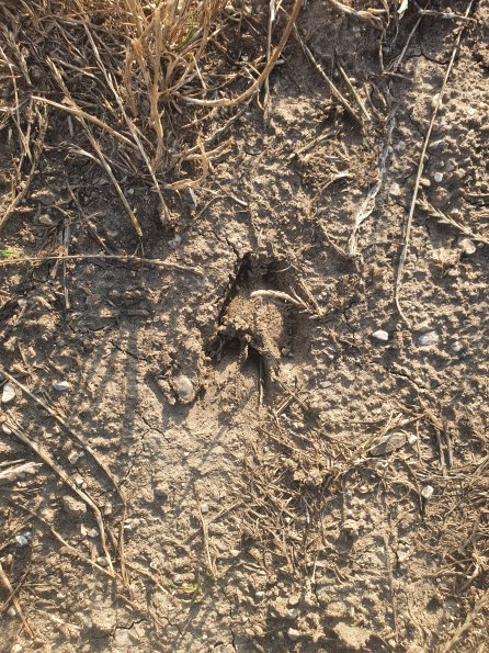 PA_AT_POET_abovefootprintphoto_20220824175440968