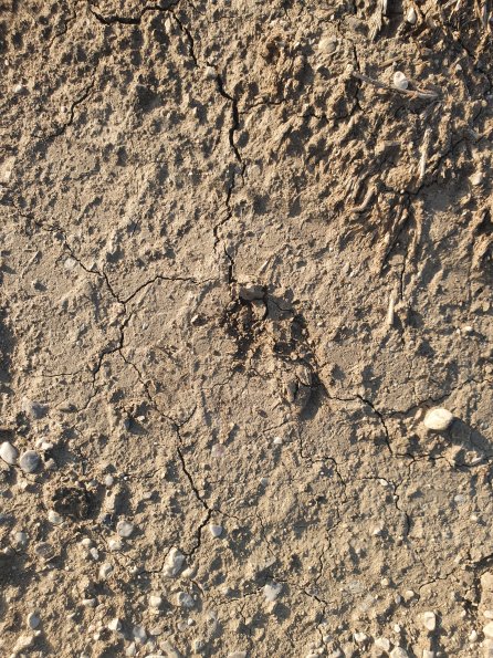 PA_AT_POET_abovefootprintphoto_20220824175820294