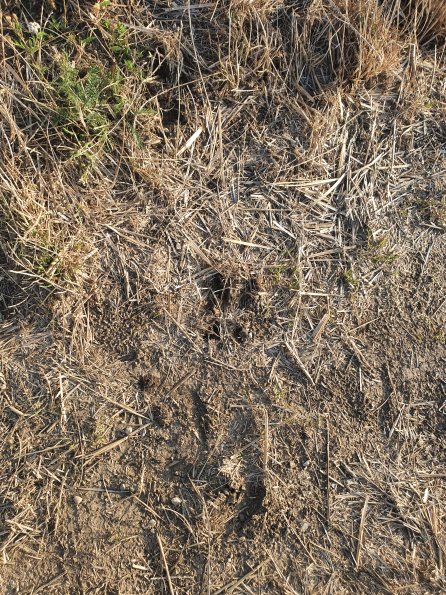 PA_AT_POET_abovefootprintphoto_20220824180634893